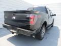 2013 F150 FX4 SuperCrew 4x4 #4