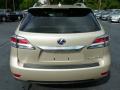 2013 RX 450h AWD #3