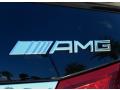 2010 E 63 AMG Sedan #10