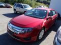 2010 Fusion SE V6 #3