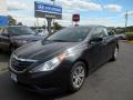 2011 Sonata GLS #1