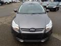 2014 Focus SE Sedan #3