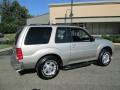 2002 Ford Explorer Silver Birch Metallic #8 2002 Ford Explorer Silver Birch Metallic #8