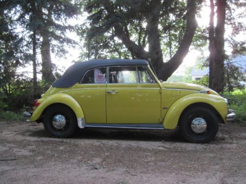 Shantung Yellow Volkswagen Beetle Convertible.  Click to enlarge.