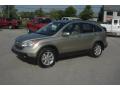 2007 CR-V EX-L 4WD #30