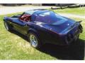1979 Corvette Coupe #3