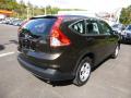  2014 Honda CR-V Kona Coffee Metallic #3