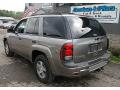 2006 TrailBlazer LS 4x4 #4
