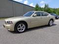 2010 Charger R/T #11