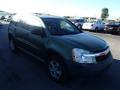 2005 Equinox LS AWD #4