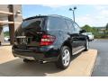 2008 ML 350 4Matic #8