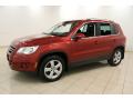 Front 3/4 View of 2010 Volkswagen Tiguan Wolfsburg Edition 4Motion #3