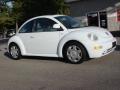 2000 New Beetle GLS Coupe #10