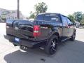 2007 F150 Harley-Davidson SuperCrew #2 2007 F150 Harley-Davidson SuperCrew #2