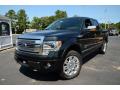 Front 3/4 View of 2013 Ford F150 Platinum SuperCrew 4x4 #1