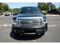 2013 F150 Platinum SuperCrew 4x4 #2