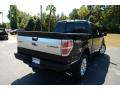 2013 F150 Platinum SuperCrew 4x4 #5