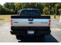 2013 F150 Platinum SuperCrew 4x4 #6