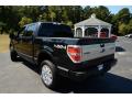 2013 F150 Platinum SuperCrew 4x4 #7