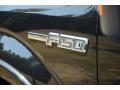 2013 F150 Platinum SuperCrew 4x4 #10