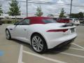  2014 Jaguar F-TYPE Polaris White #8