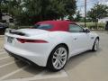 2014 F-TYPE  #10