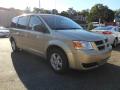 2010 Grand Caravan SE Hero #1