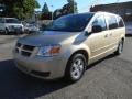 2010 Grand Caravan SE Hero #3