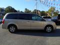 2010 Grand Caravan SE Hero #4