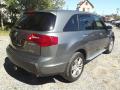 2008 MDX Technology #3