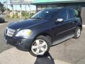 2010 ML 350 4Matic #1