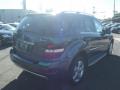 2010 ML 350 4Matic #3