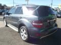 2010 ML 350 4Matic #4