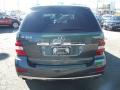2010 ML 350 4Matic #5