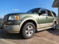 Front 3/4 View of 2005 Ford Expedition Eddie Bauer #1