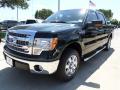 2013 F150 XLT SuperCrew #1 2013 F150 XLT SuperCrew #1