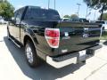 2013 F150 XLT SuperCrew #3 2013 F150 XLT SuperCrew #3
