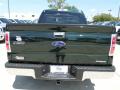 2013 F150 XLT SuperCrew #4 2013 F150 XLT SuperCrew #4