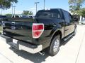 2013 F150 XLT SuperCrew #5 2013 F150 XLT SuperCrew #5