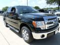 2013 F150 XLT SuperCrew #7 2013 F150 XLT SuperCrew #7