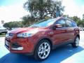 2014 Escape Titanium 2.0L EcoBoost #1 2014 Escape Titanium 2.0L EcoBoost #1