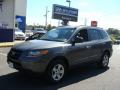 2009 Santa Fe GLS #1