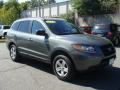 2009 Santa Fe GLS #3