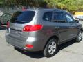 2009 Santa Fe GLS #4
