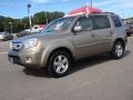 2010 Pilot EX-L 4WD #2