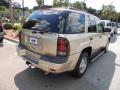 2006 TrailBlazer LS 4x4 #13