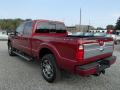  2014 Ford F250 Super Duty Ruby Red Metallic #6