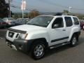 2010 Xterra X 4x4 #3