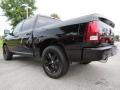 2014 1500 Express Crew Cab #2