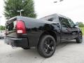 2014 1500 Express Crew Cab #3